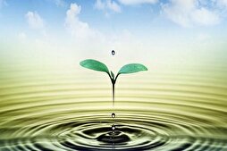 التعامل مع الحياة من منظور الامام علي(ع)