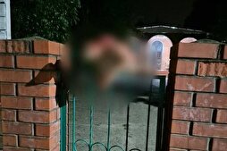 Man Detained After Pig’s Head Placed at Mosque in Russia's Adygea