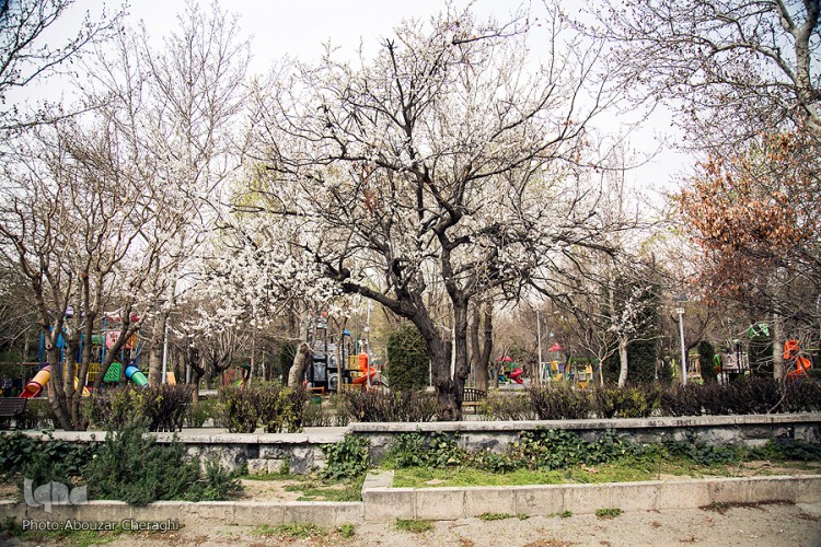 بهار؛ جلوه گاه پروردگار