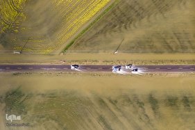 جادوی طبیعت