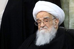 مرجعی که بوسه بر دستان طلبه زد/ حساسیت آیت‌الله صافی نسبت به معیشت مردم