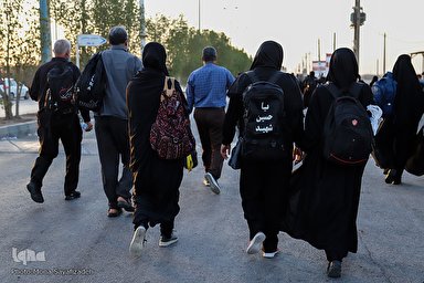 فیلم | زیارت خبرنگار ایکنا به نیابت از عاشقان حسینی