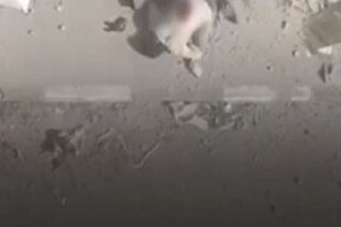 سجده مبارز فلسطینی در لحظه شهادت + فیلم