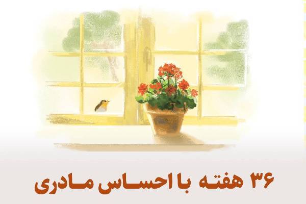 کمک به شکوفایی نسل توحیدی در جلسات «احساس مادری»