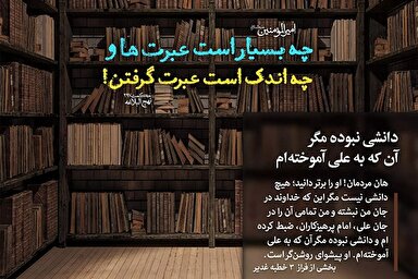 استوری موشن | دانشی نبوده مگر آن که به علی آموخته‌ام