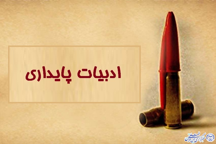 ادبیات پایداری