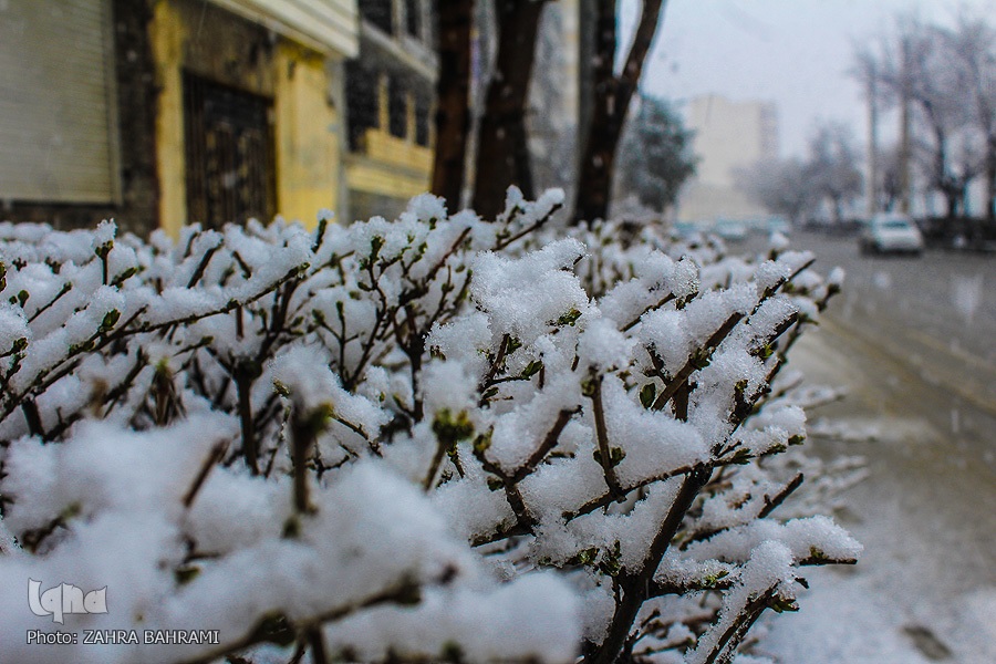 بارش برف بارش برف