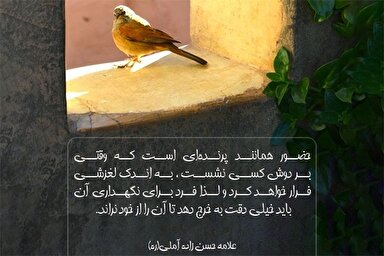 طرح | حضور، پرنده‌ای که پر می‌کشد