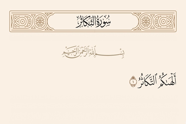 الهکم التکاثر الهکم التکاثر