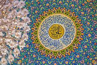 انواع واکنش‌ها و ویژگی آنانی که ولایت امیرالمؤمنین (ع) را برنتافتند