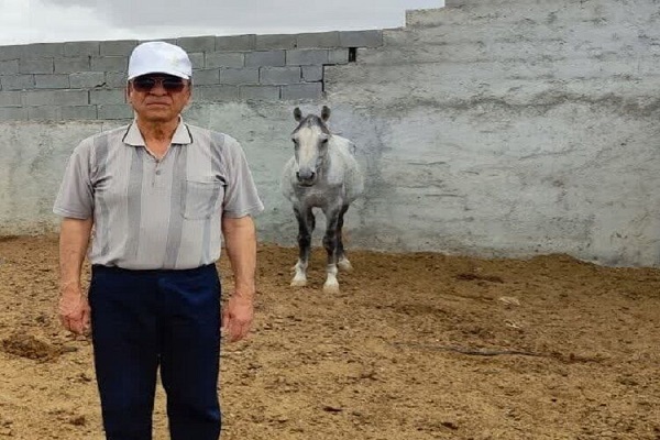 تقدیر از شجاعت گوینده خبر با اهدای اسب اصیل خراسان‌شمالی