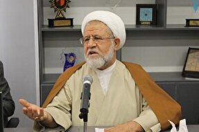 راهپیمایی اربعین امسال به حماسی‌ترین جنبش ضد صهیونیستی تبدیل شود