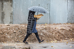 بارش اولن برف پاییزی در قزوین