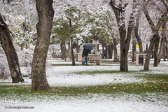 بارش اولن برف پاییزی در قزوین