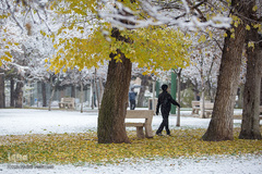 بارش اولن برف پاییزی در قزوین