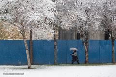 بارش اولن برف پاییزی در قزوین