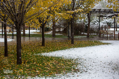 بارش اولن برف پاییزی در قزوین