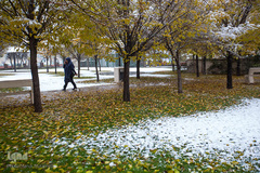 بارش اولن برف پاییزی در قزوین