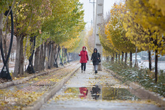 بارش اولن برف پاییزی در قزوین