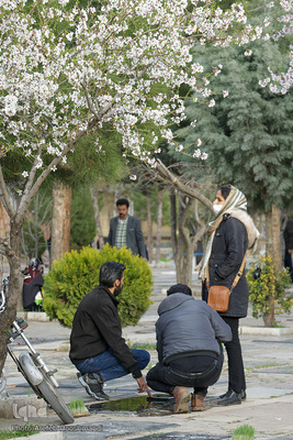 زیارت اهل قبور در آخرین پنجشنبه سال در قزوین‎‎