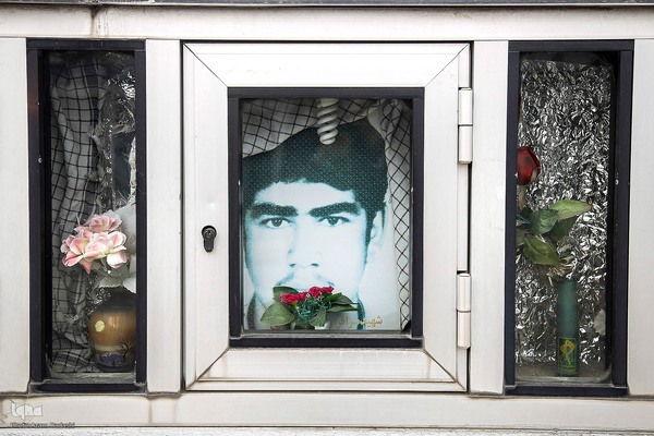 شهدا در قاب تصویر