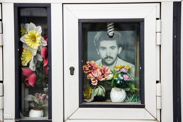 شهدا در قاب تصویر