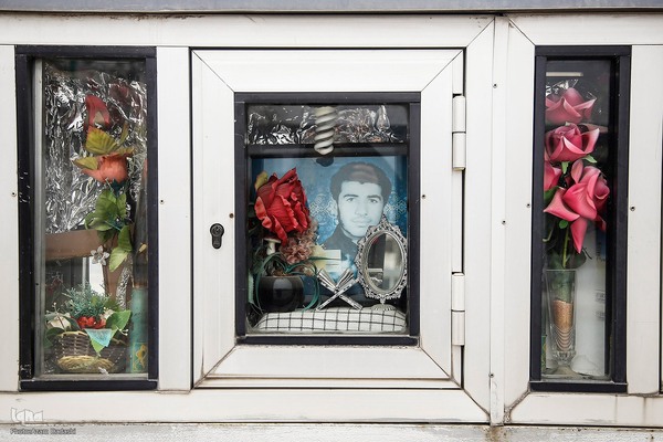 شهدا در قاب تصویر